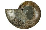 Cut & Polished Ammonite Fossil (Half) - Deep Crystal Pockets #344422-1